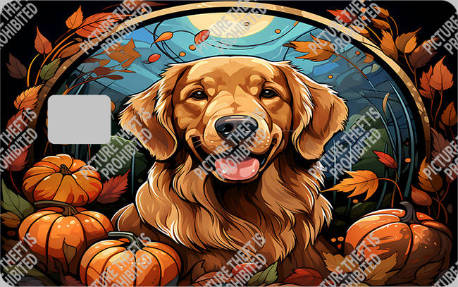 Bank  Card Sticker-BC-1615